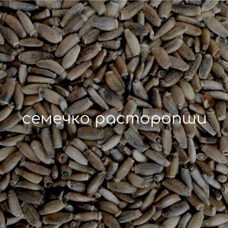 Печень: что ей нужно для здоровья